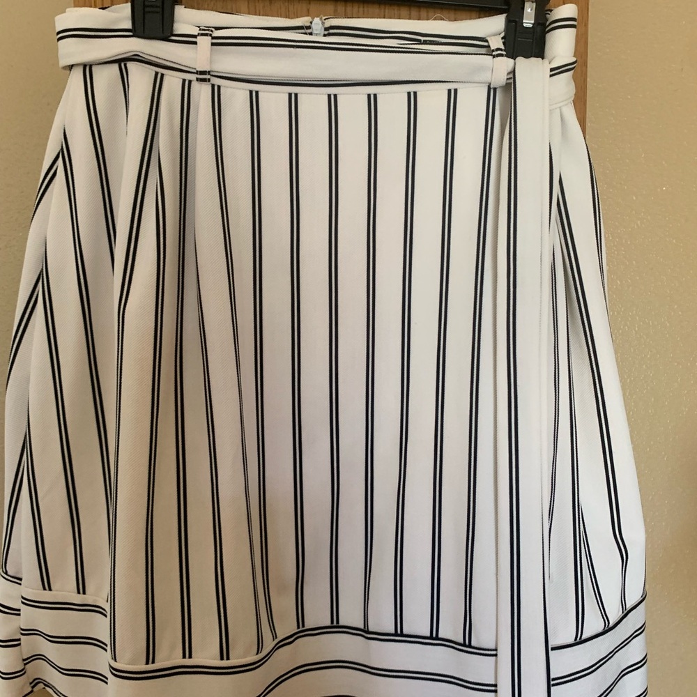 Potters Pot Chic A-Line Striped Skirt in Black and White